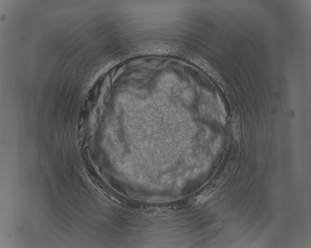 X0000073710434200608171142