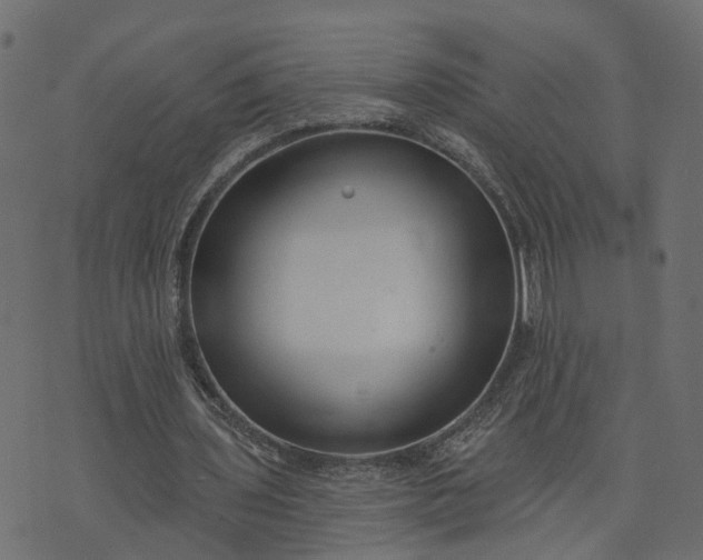 X0000073710435200608171142