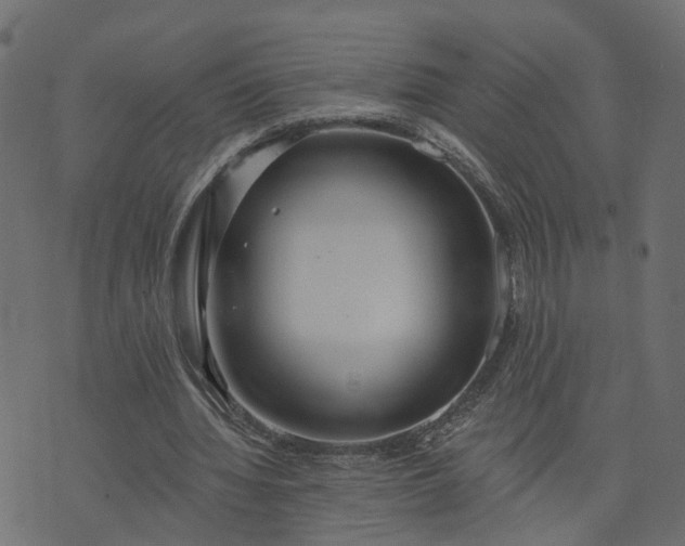 X0000073710436200608171142