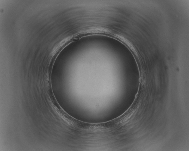 X0000073710437200608171142