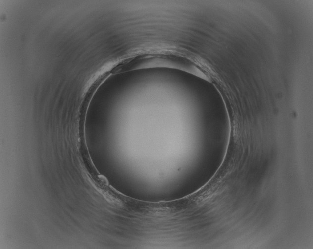 X0000073710438200608171142