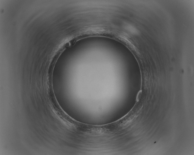 X0000073710439200608171142