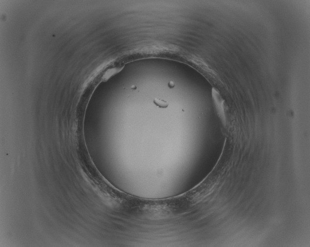 X0000073710440200608171142