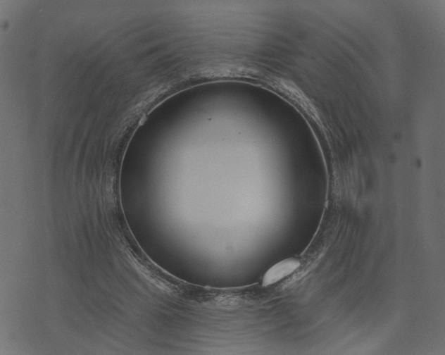 X0000073710441200608171142