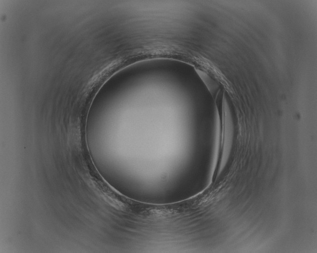 X0000073710442200608171142