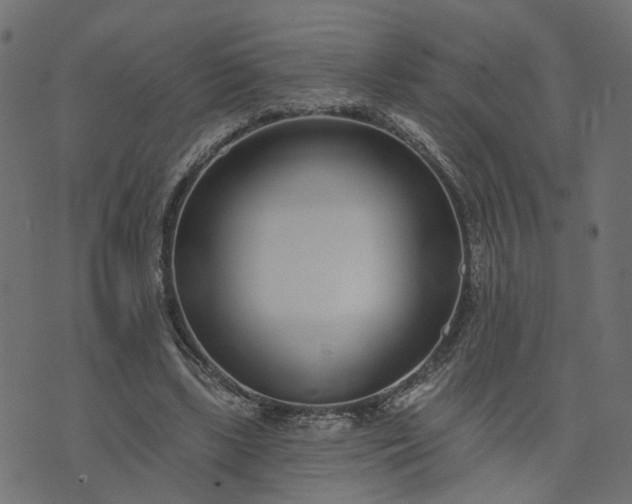 X0000073710443200608171142