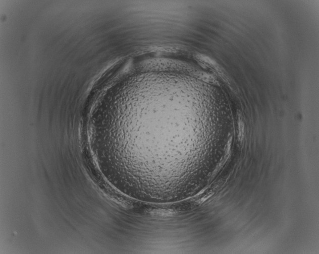 X0000073710444200608171142