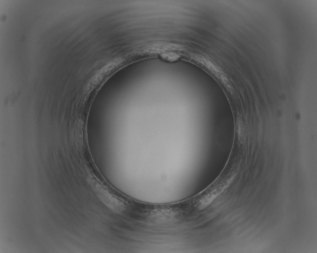 X0000073710445200608171142