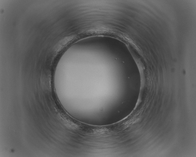 X0000073710446200608171142