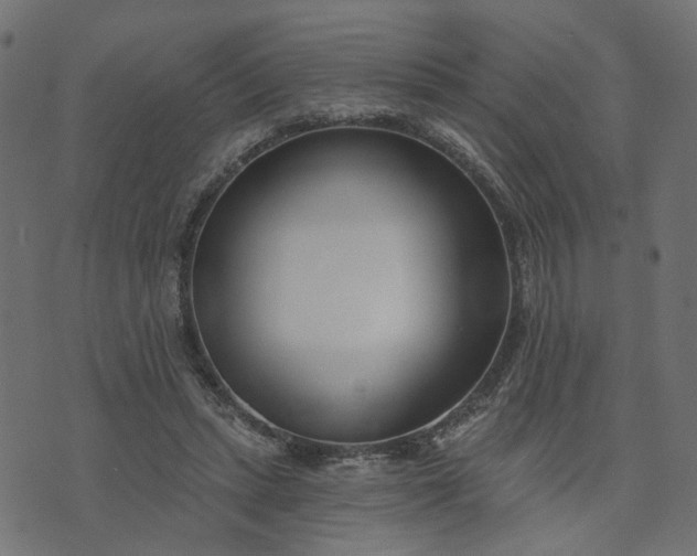 X0000073710447200608171142