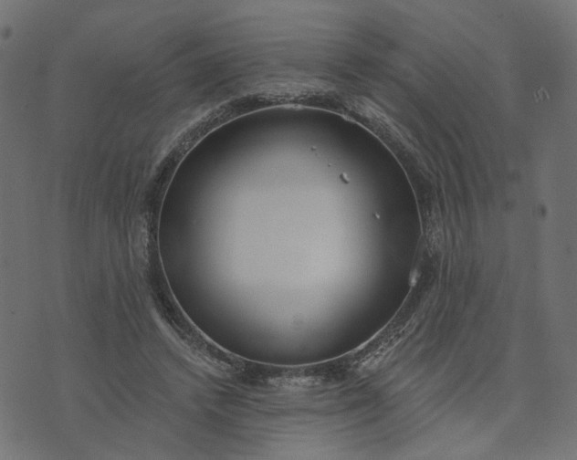 X0000073710448200608171142