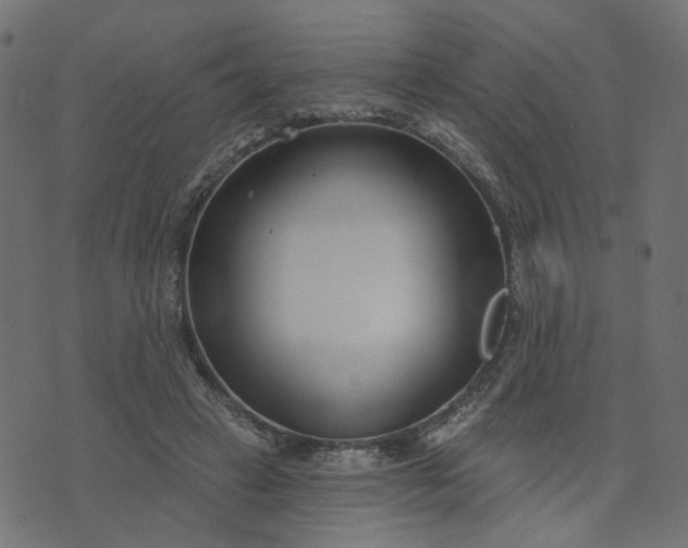 X0000073710449200608171142