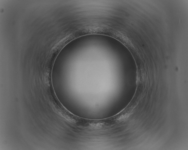 X0000073710450200608171142