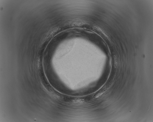 X0000073710451200608171142