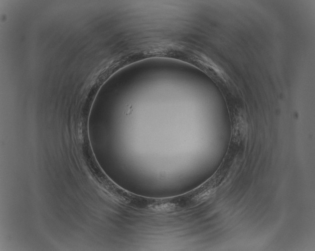 X0000073710452200608171142