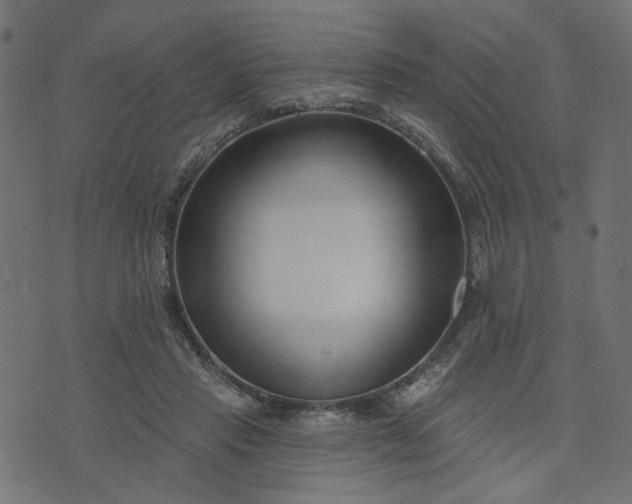 X0000073710453200608171142