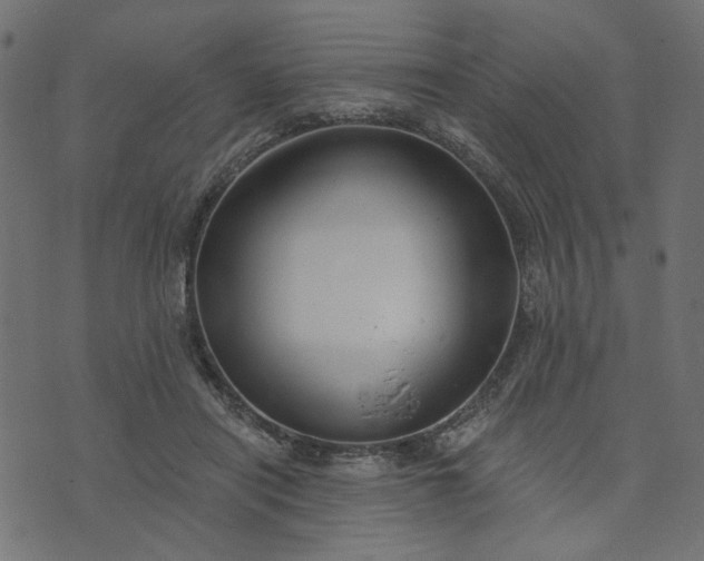 X0000073710454200608171142