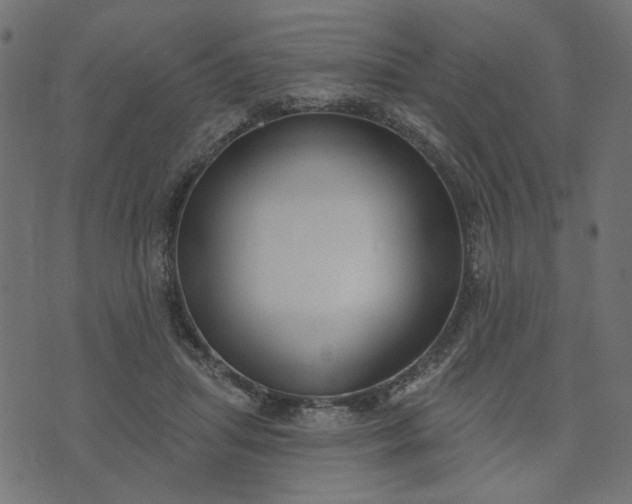 X0000073710455200608171142