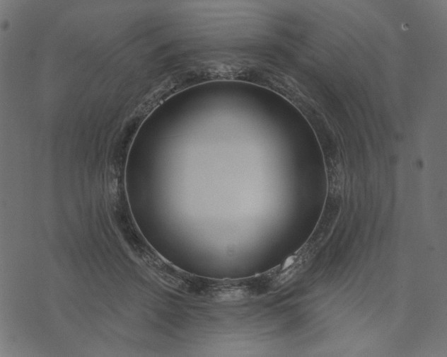 X0000073710456200608171142