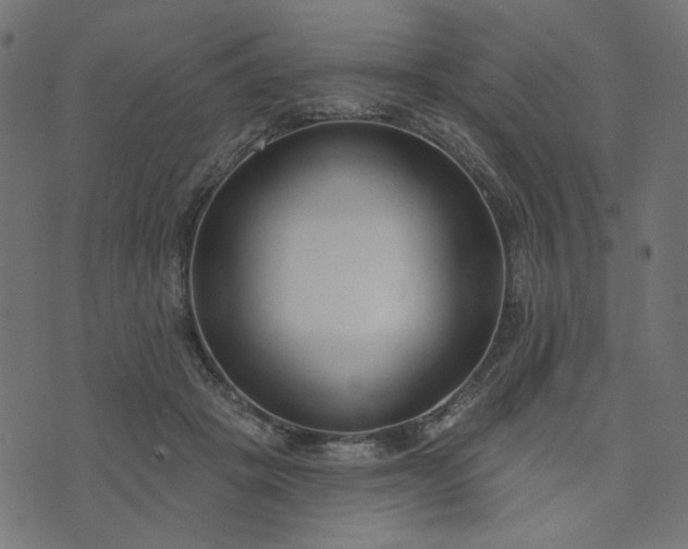 X0000073710457200608171142