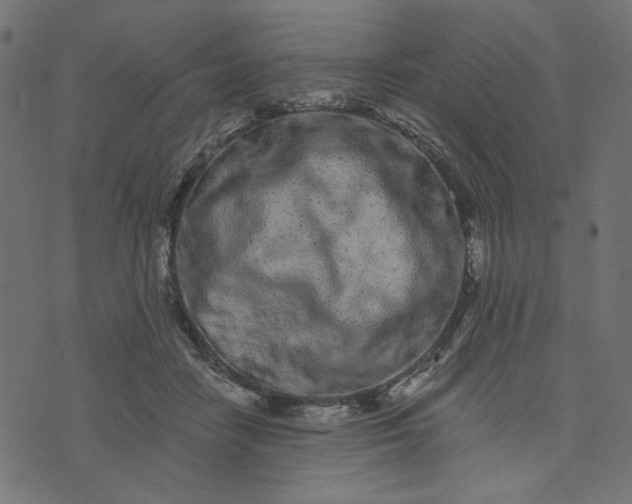 X0000073710458200608171142