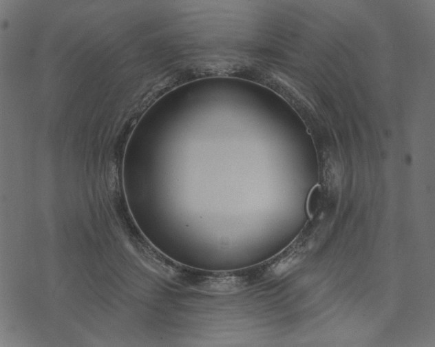 X0000073710459200608171142