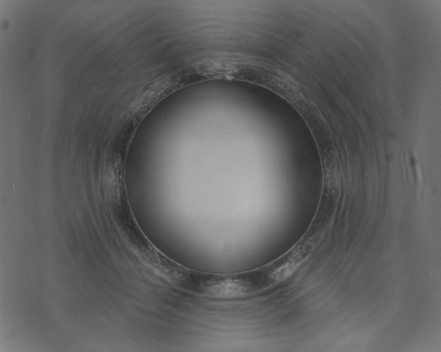 X0000073710460200608171142