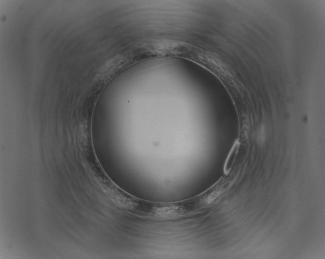 X0000073710461200608171142