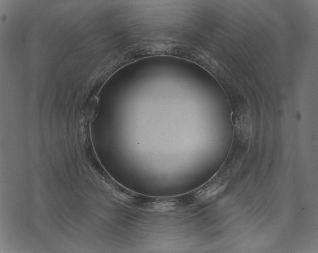 X0000073710462200608171142