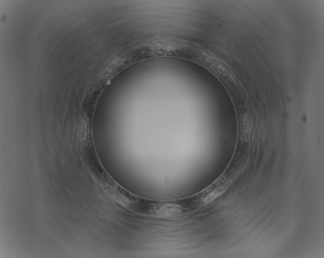 X0000073710463200608171142