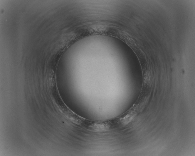 X0000073710464200608171142