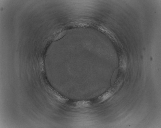 X0000073710465200608171142