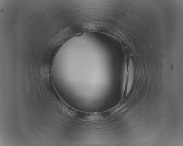 X0000073710466200608171142