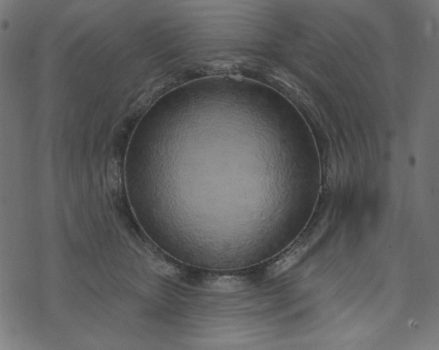 X0000073710467200608171142