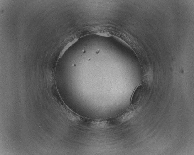 X0000073710469200608171142