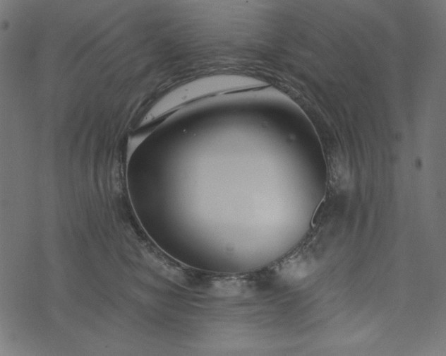 X0000073710470200608171142