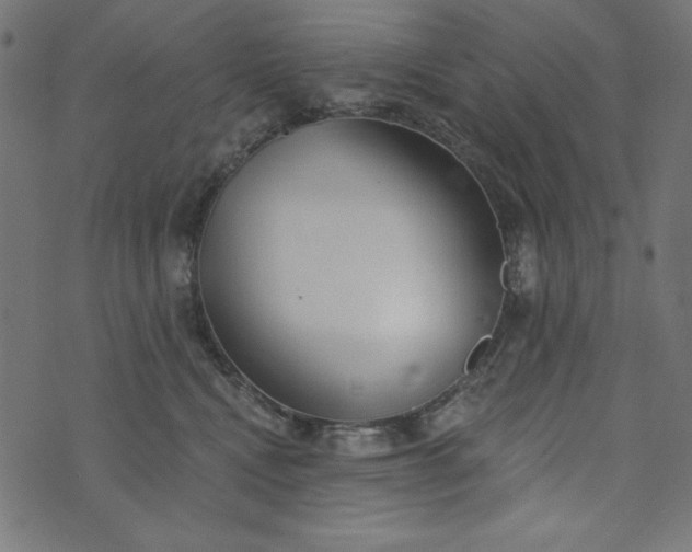 X0000073710472200608171143