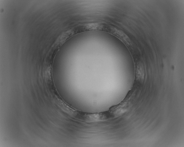 X0000073710473200608171143