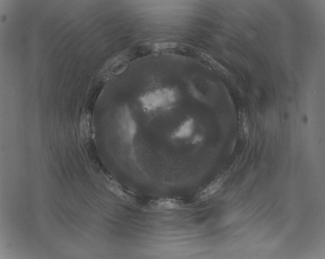 X0000073710475200608171143