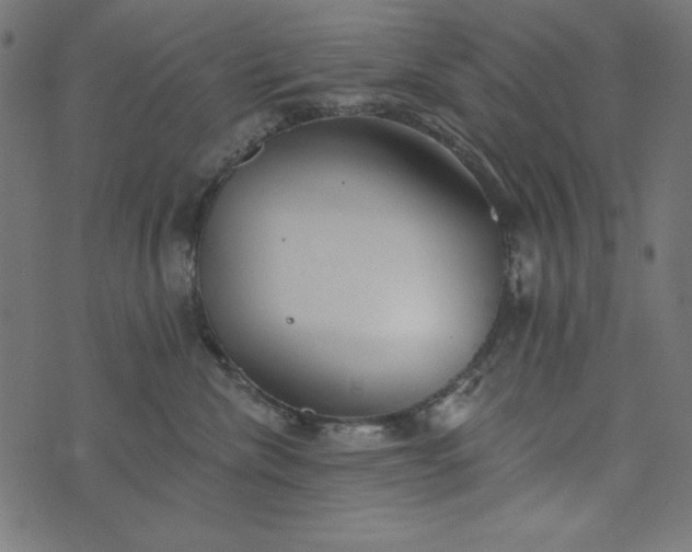 X0000073710476200608171143