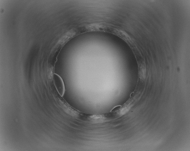 X0000073710477200608171143