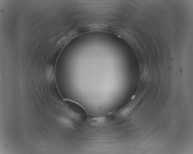 X0000073710478200608171143