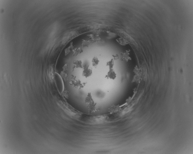 X0000073710479200608171143