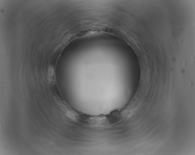 X0000073710480200608171143