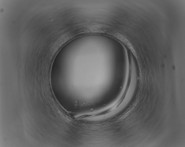 X0000073710481200608171142