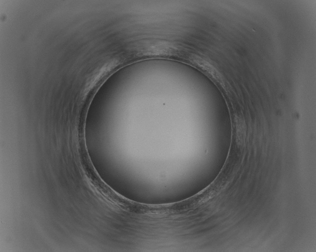 X0000073710482200608171142