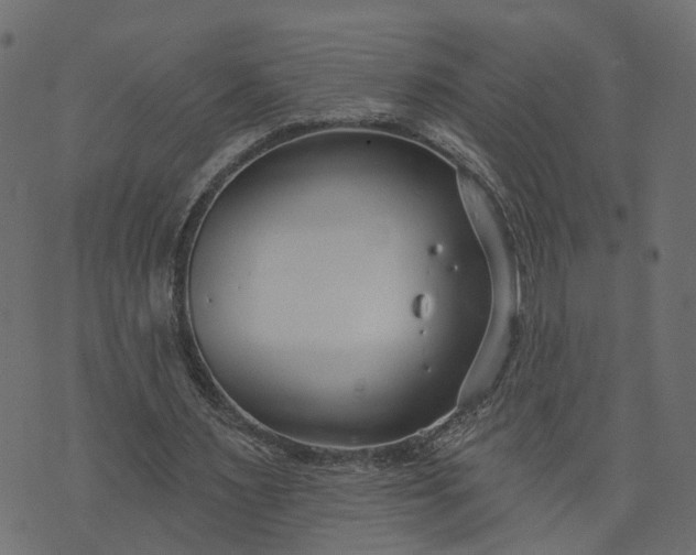 X0000073710483200608171142