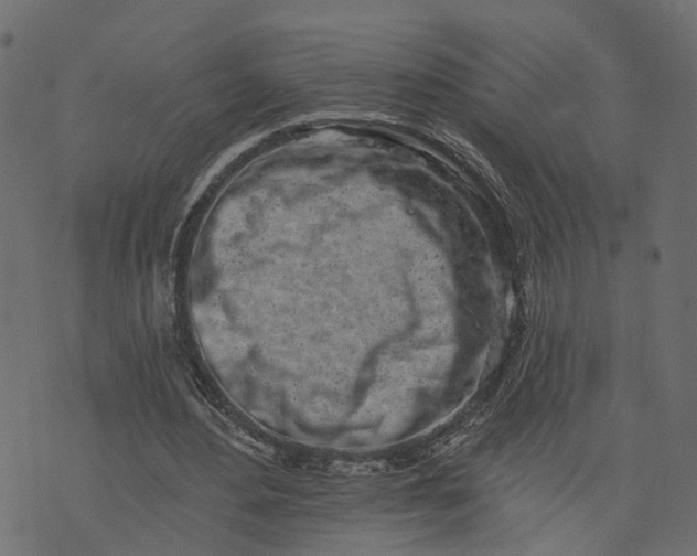 X0000073710484200608171142