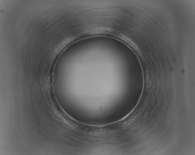 X0000073710485200608171142