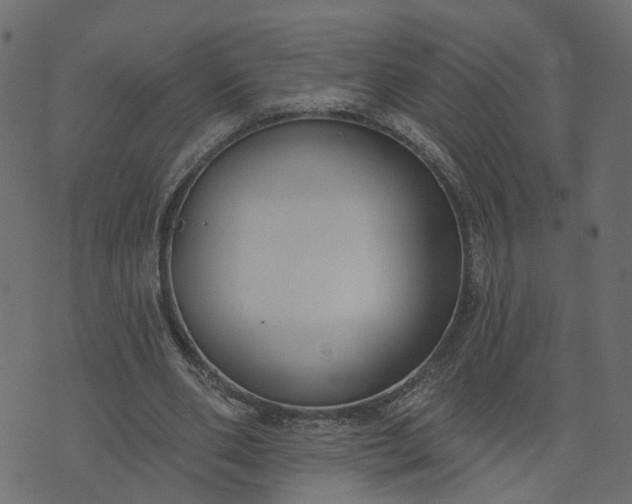 X0000073710486200608171142